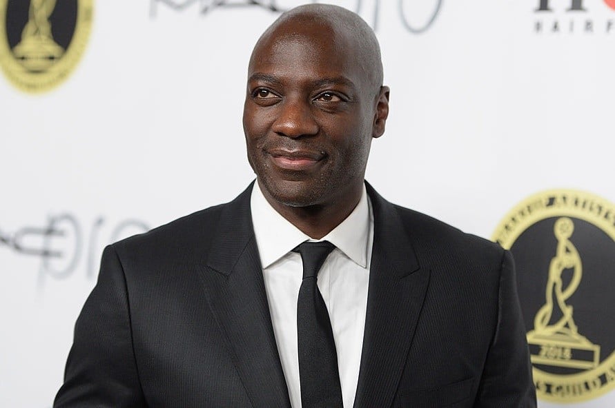 adewale akinnuoye agbaje net worth - Article 1